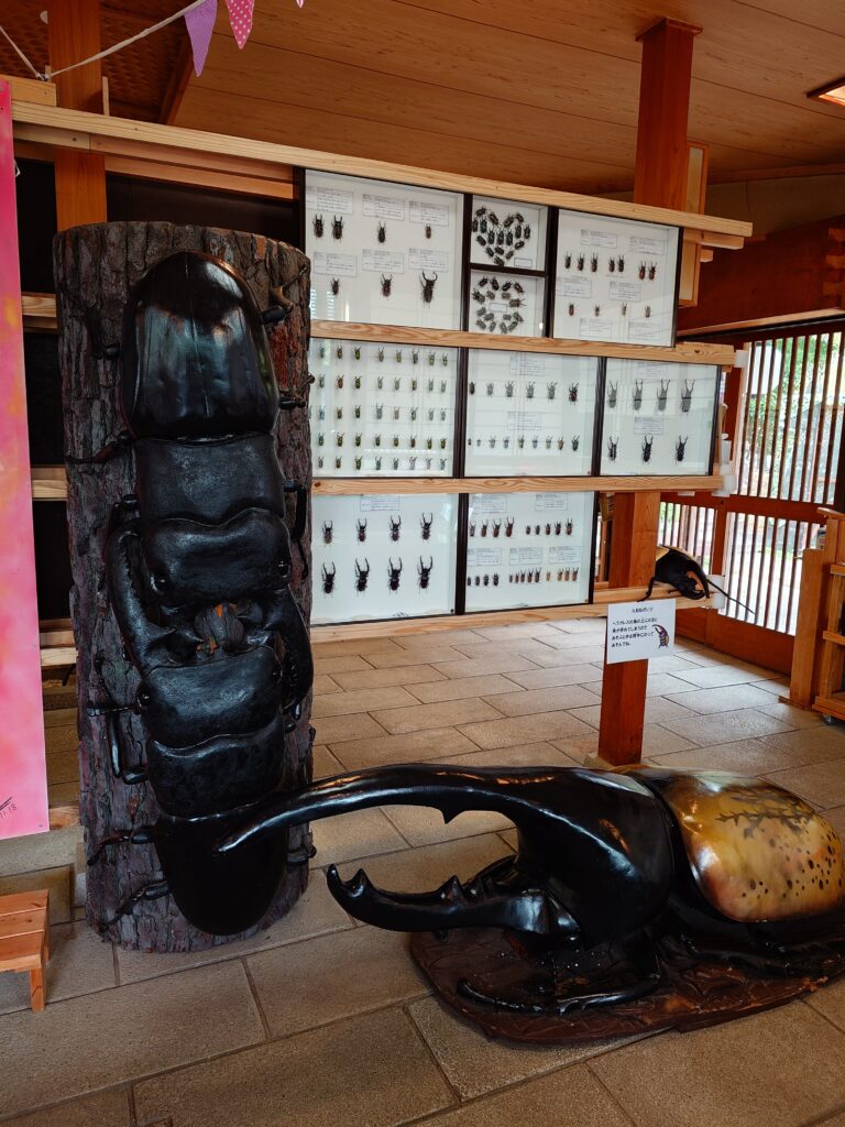 Museum display of mounted beetles in glass cases on wooden frames; a large glossy black beetle sculpture rests against a faux tree trunk.