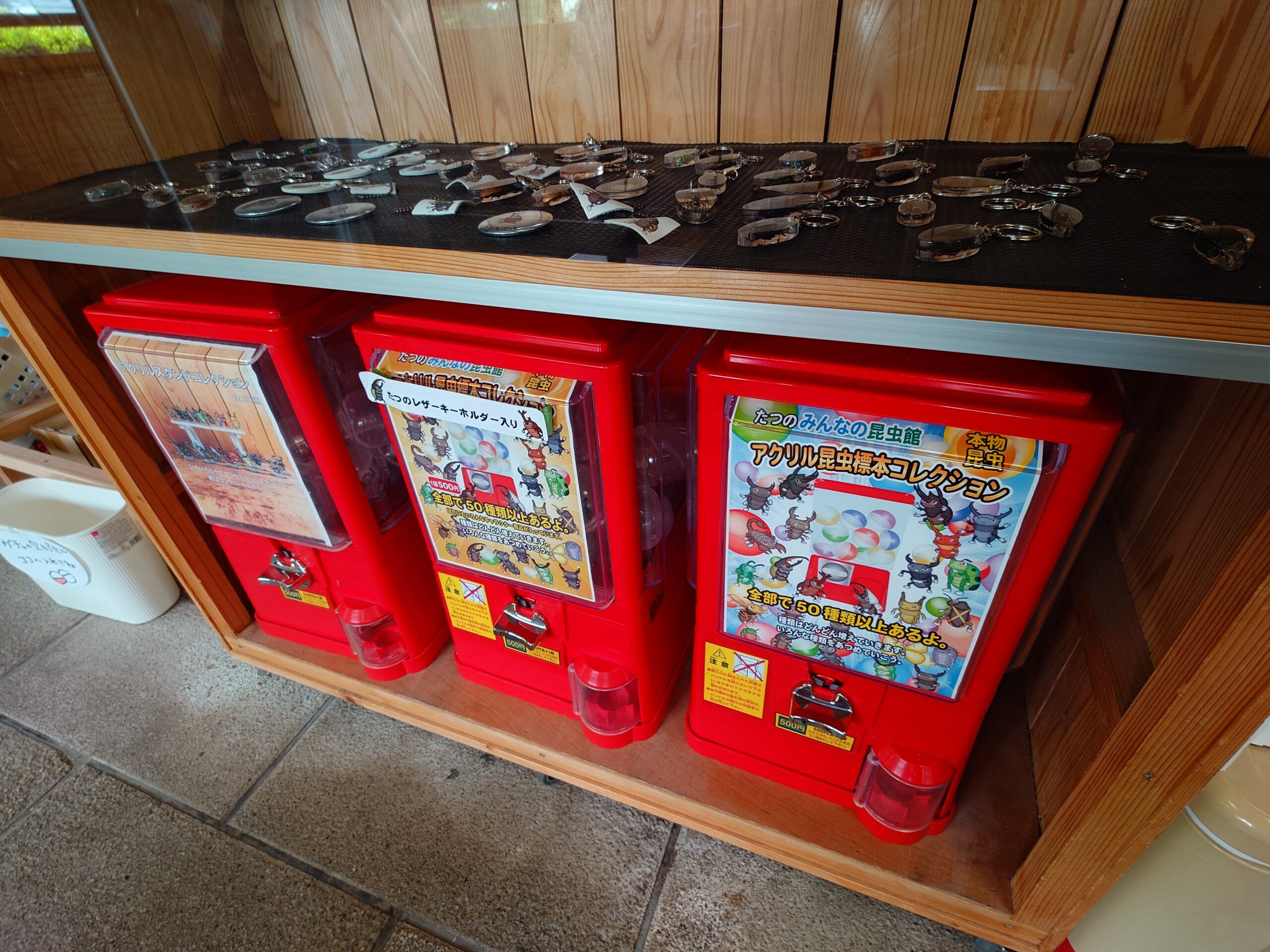 Row of red capsule-toy vending machines on a wooden shelf, with scattered metal and plastic capsule prizes on a black mat above them.
